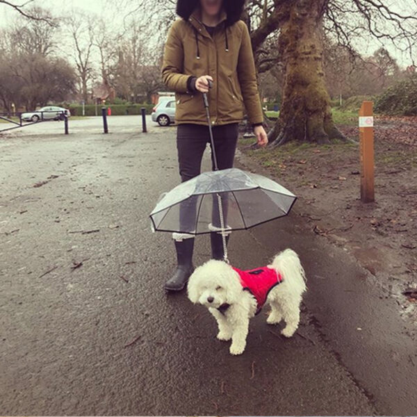 Transparent Pet Umbrella Dog Umbrella Pet Products - Image 4