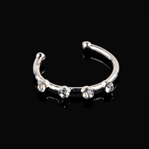 Personalized Nose Nail Puncture Accessories - Image 5